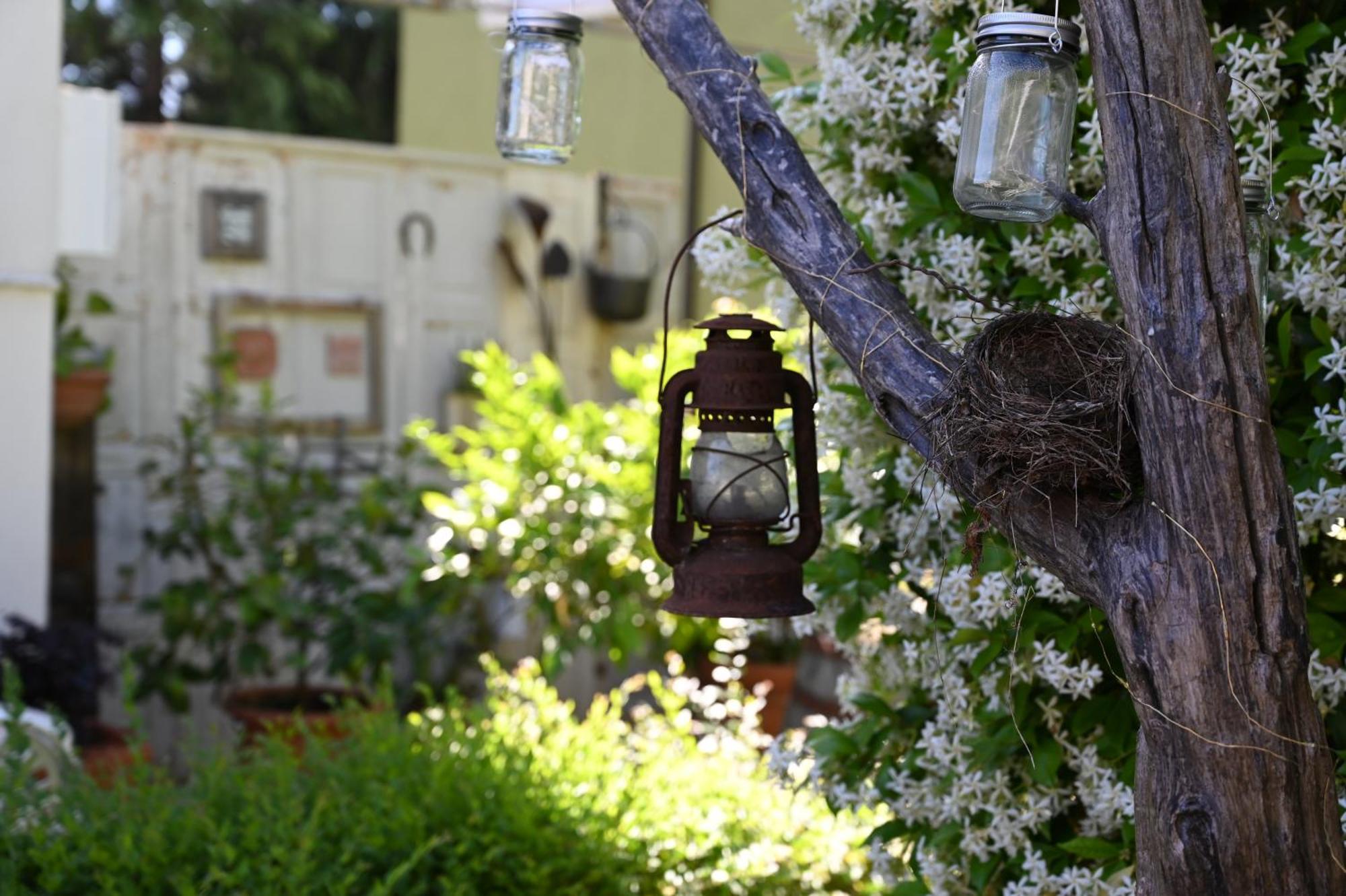 La Garampa Bed & Breakfast Cesena Eksteriør bilde